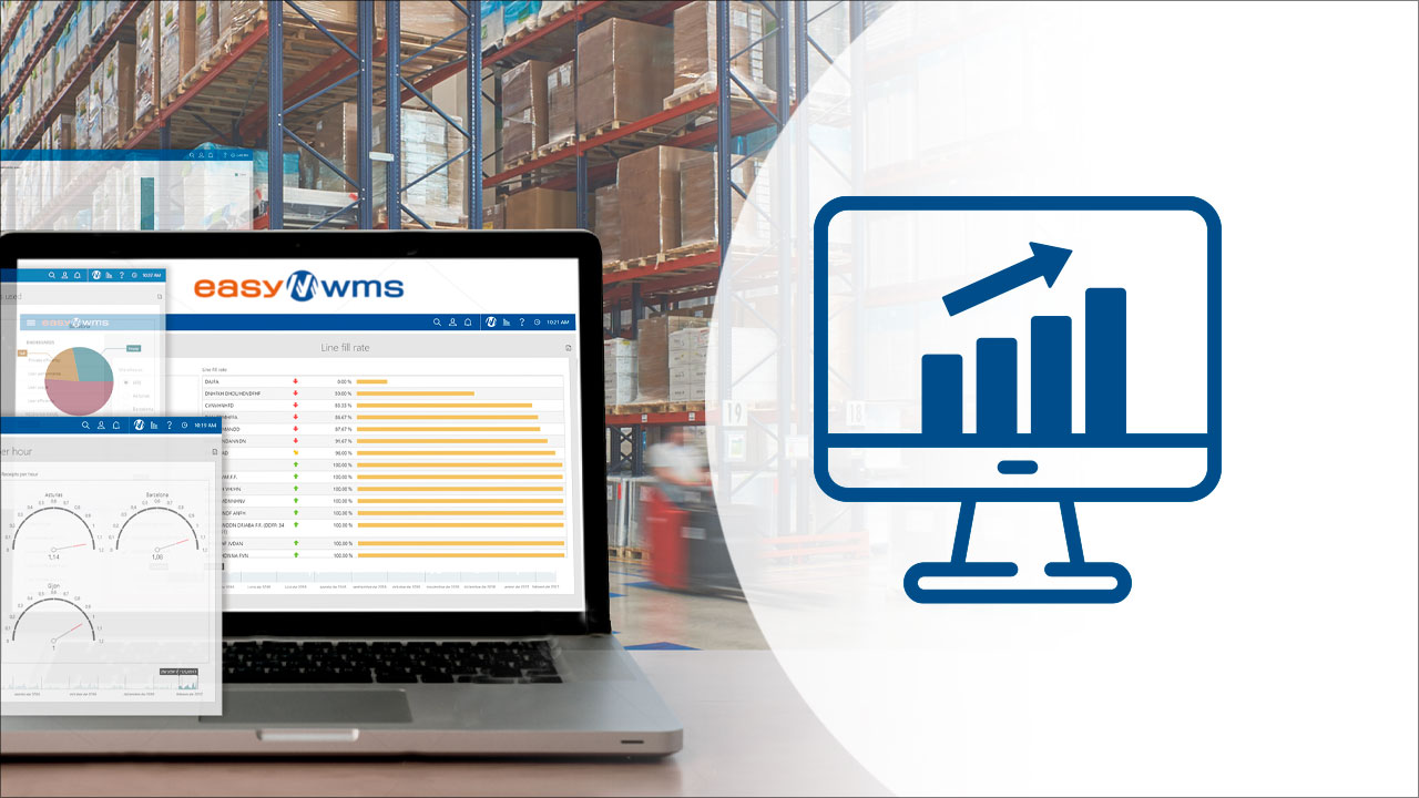 Supply Chain Analytics Software - Módulo Easy WMS